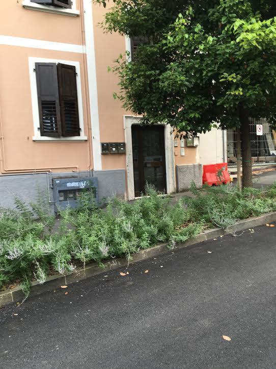 Appartamento I Sentieri 23 Riva del Garda Ngoại thất bức ảnh